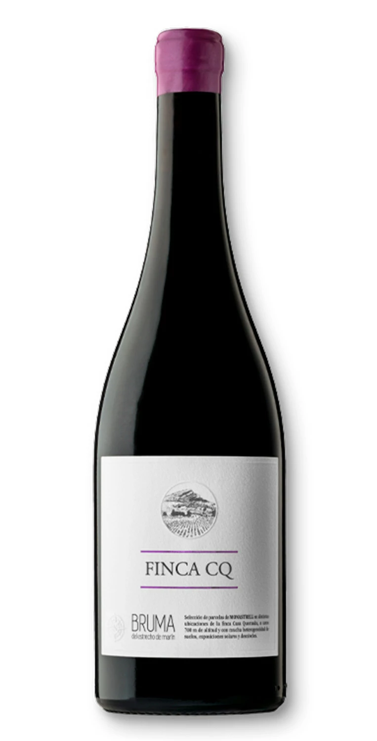 Finca CQ 2022 3 Finca CQ 2022