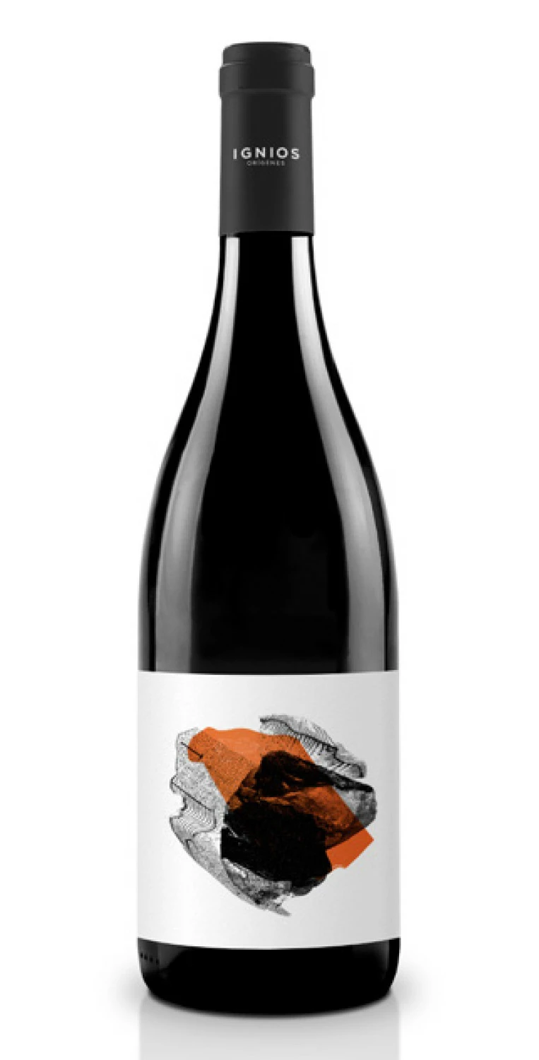 Ignios Orígenes Vijariego 2018 3 Ignios Orígenes Vijariego 2018