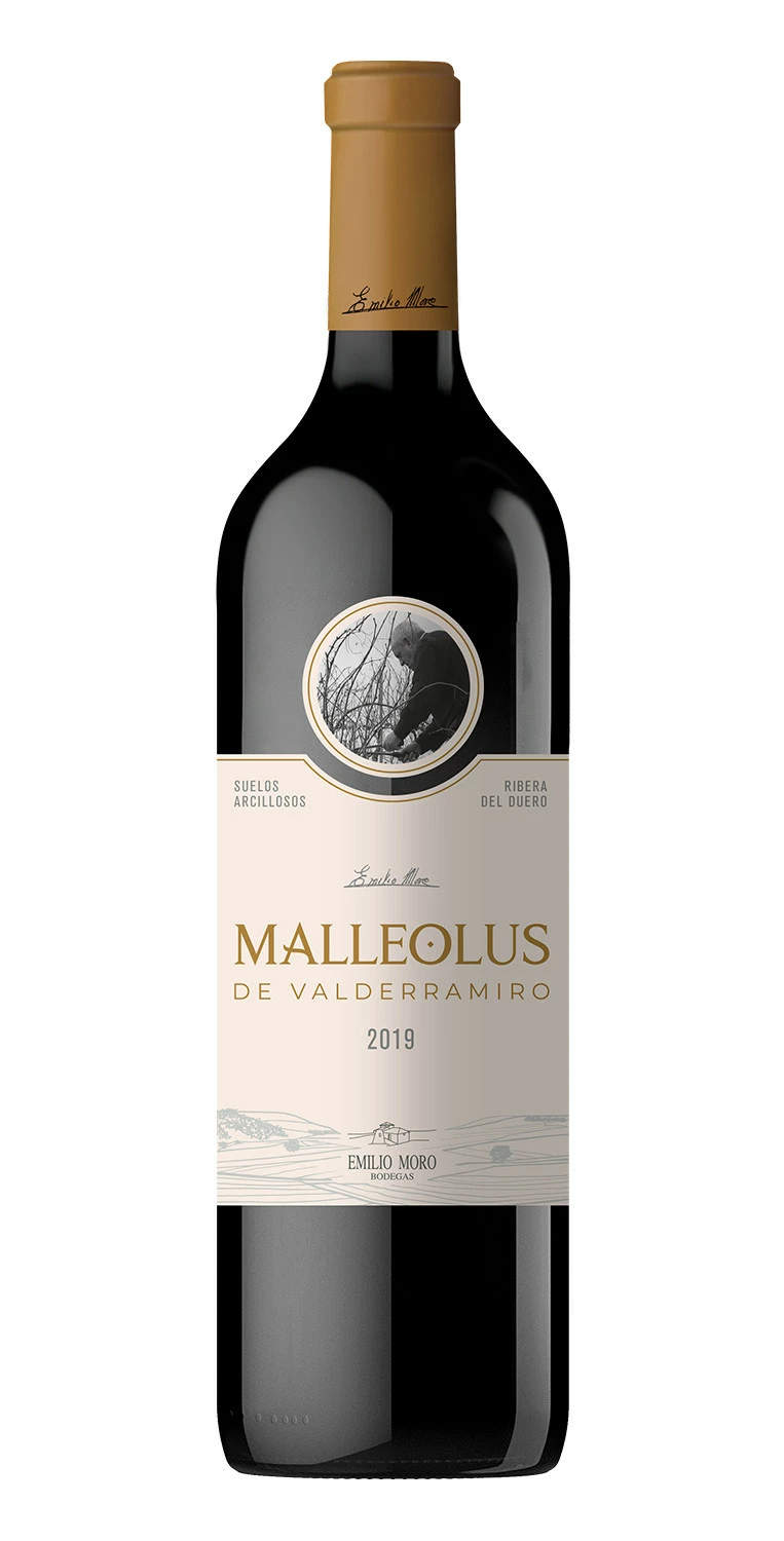 Malleolus De Valderramiro 2019 3 Malleolus De Valderramiro 2019