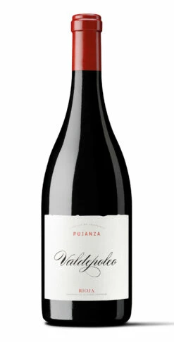 Pujanza Valdepoleo 2018