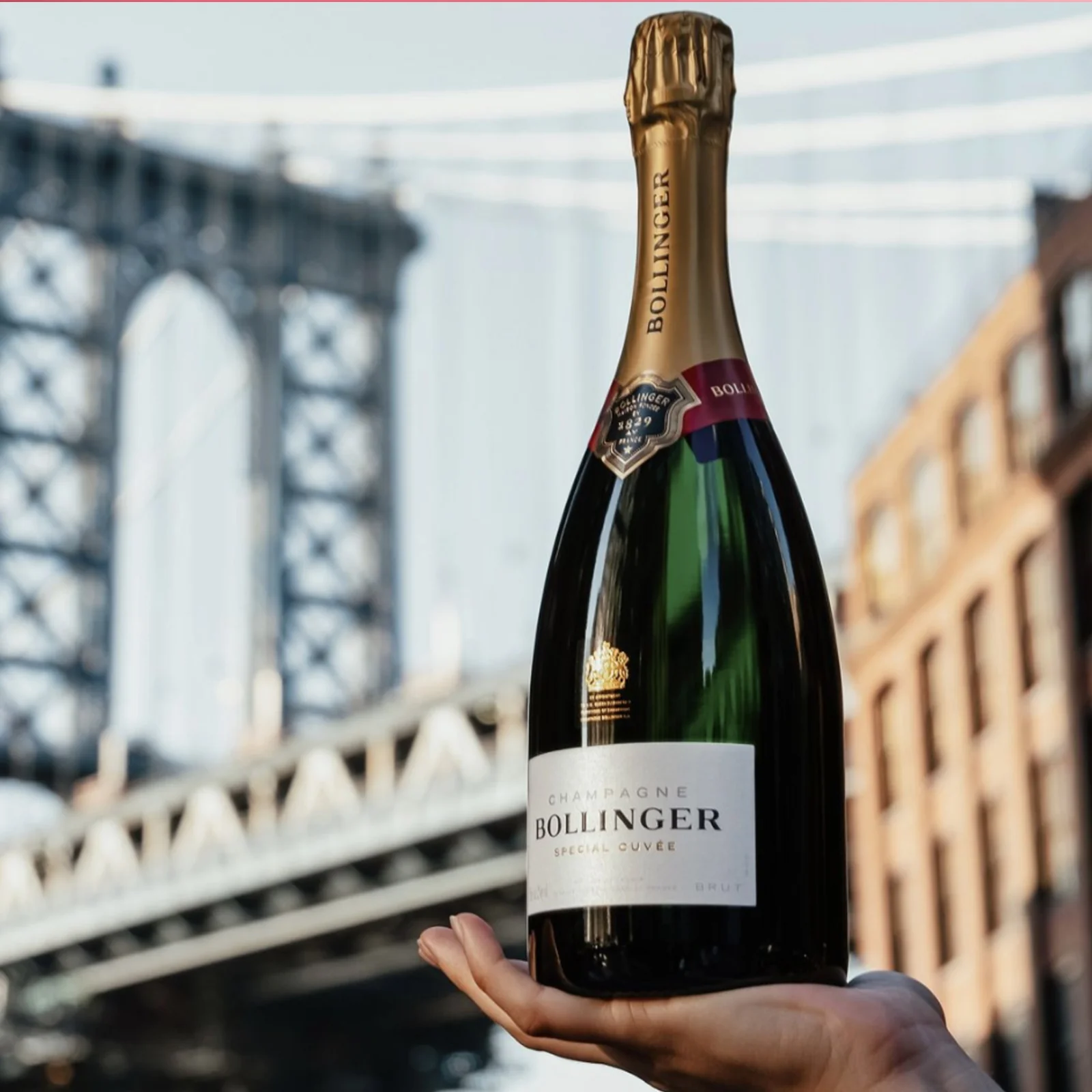 Bach Tienda 33 Bach Tienda -Bach Tienda